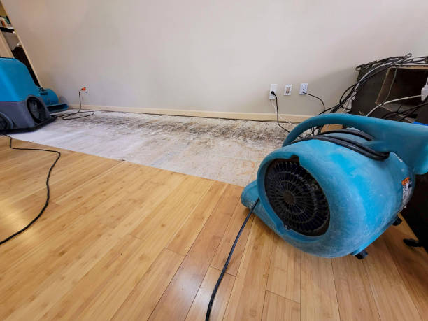 Professional Water Extraction technician working in Vanceboro, ME